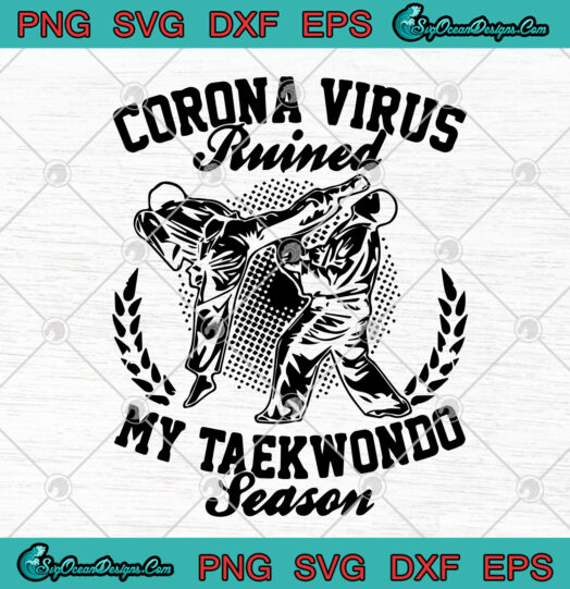 Corona Virus Ruined My Taekwondo Season