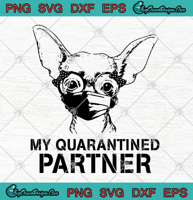 Chihuahua My Quarantined Partner