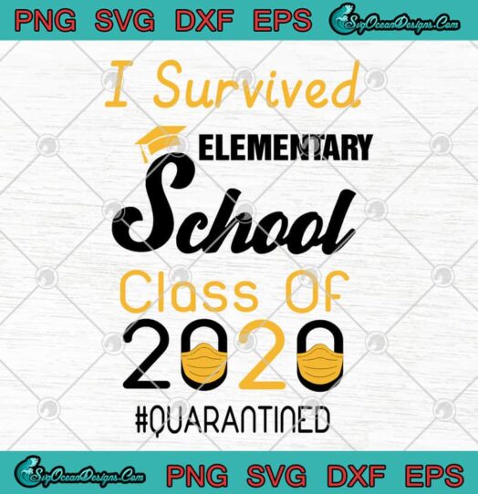 I Survived Elementary School Class Of 2020 Quarantined