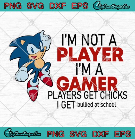 Sonic Im Not A Player Im A Gamer