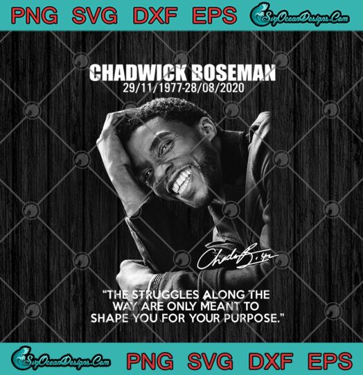 Chadwick Boseman The Struggles Along The Way Are Only Meant To Shape You For Your Purpose