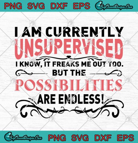 I Am Currently Unsupervised I Know It Freaks Me Out Too