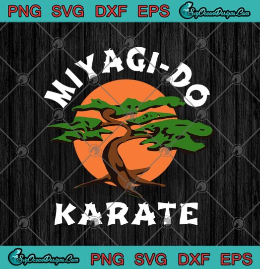 Miyagi Do Karate Funny Karate Kid