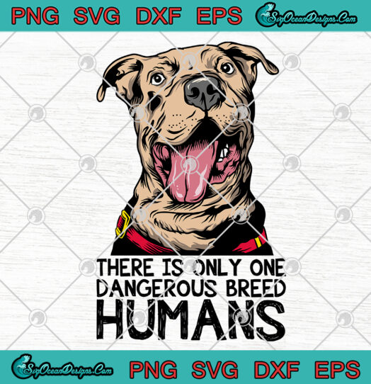 Pitbull There Is Only One Dangerous Breed Humans SVG PNG