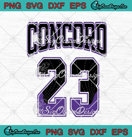 23 Made To Match Jordan 12 Dark Concord