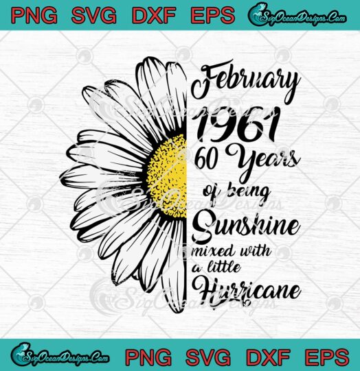 Daisy Flower February 1961 60 Years Of Being Sunshine Mixed With A Little Hurricane