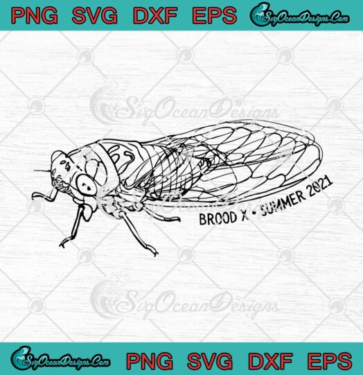 Cicada Brood X Summer 2021 svg cricut
