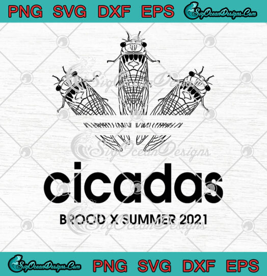 Cicadas Brood x Summer 2021 svg png cricut silhouette
