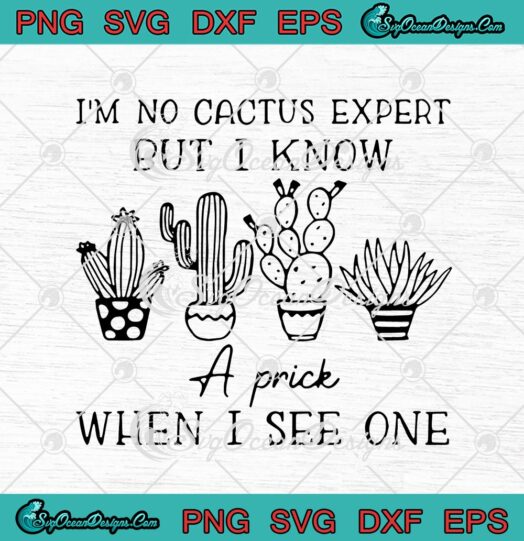 Im No Cactus Expert But I Know A Prick When I See One svg cricut