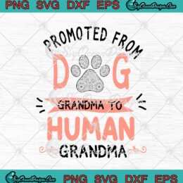 Promoted From Dog Grandma To Human Grandma SVG PNG EPS DXF - Funny Mother's Day SVG Cricut Cameo File Silhouette Art