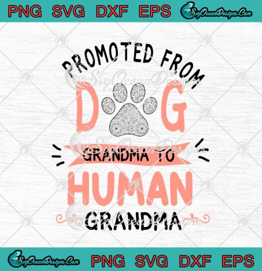 Promoted From Dog Grandma To Human Grandma