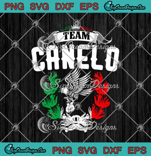 Team Canelo Mexico Flag Vintage Boxing Alvarez