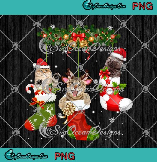 Cute Cats In Christmas Socks Pajamas Family Cat Lovers Christmas Gift PNG