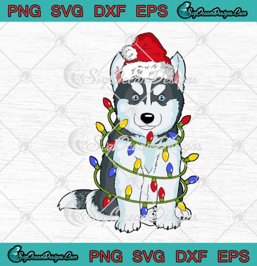 Siberian Husky Santa Hat Christmas Lights SVG Xmas Gifts Boys Merry Christmas SVG PNG Cricut