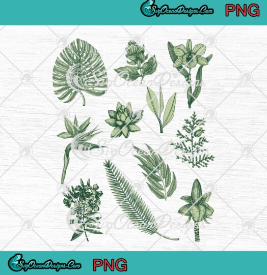 Tropical Leaves Just Plants Women's PNG - Tropical Plants Art PNG JPG Clipart, Digital Download