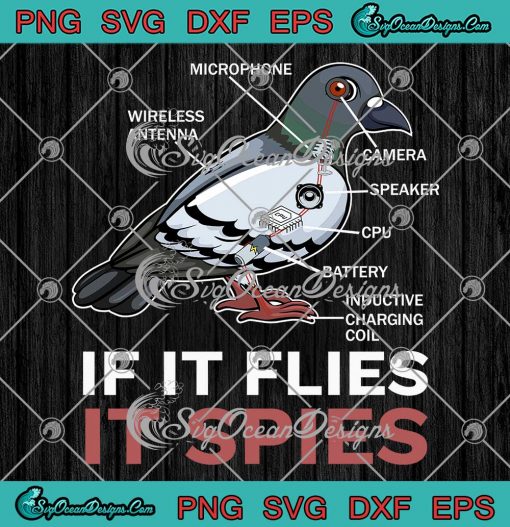 If It Flies It Spies Pigeon Anatomy SVG - Bird Aren't Real SVG - Conspiracy Theory SVG PNG EPS DXF PDF, Cricut File