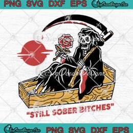 Still Sober Bitches Funny Sobriety SVG - Alcoholics Anonymous Narcotics Anonymous SVG PNG EPS DXF PDF, Cricut File