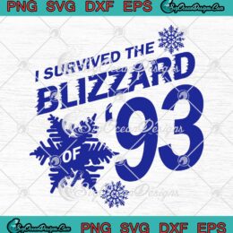I Survived The Blizzard Of 93 SVG - Vintage 90s Blizzard Large SVG PNG EPS DXF PDF, Cricut File