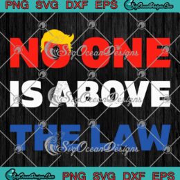 No One Is Above The Law Trendy SVG - Trump Mugshot President 2024 SVG PNG EPS DXF PDF, Cricut File