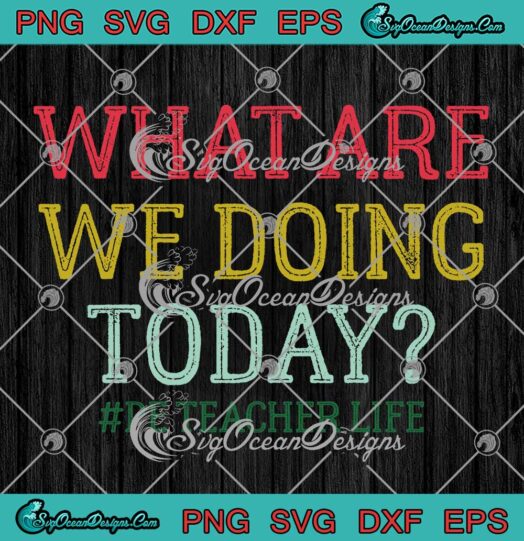 What Are We Doing Today SVG - PE Teacher Life Funny Kids SVG PNG EPS DXF PDF, Cricut File