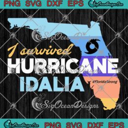 I Survived Hurricane Idalia SVG - Florida Map Florida Strong 2023 SVG PNG EPS DXF PDF, Cricut File