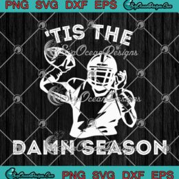 Tis The Damn Season Football SVG - Taylor Swift Evermore Album SVG - Football Player SVG PNG EPS DXF PDF, Cricut File