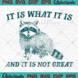 Raccoon Meme It Is What It Is SVG - And It Is Not Great SVG - Funny Quote SVG PNG, Cricut File
