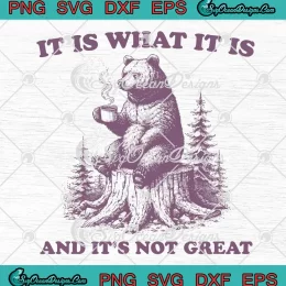 Funny It Is What It Is SVG - And It's Not Great SVG - Bear Meme SVG PNG, Cricut File