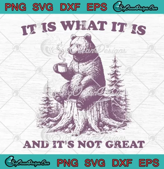 Funny It Is What It Is SVG - And It's Not Great SVG - Bear Meme SVG PNG, Cricut File