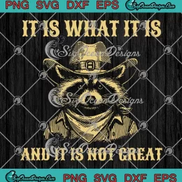 Retro It Is What It Is SVG - And It Is Not Great SVG - Raccoon Meme SVG PNG, Cricut File