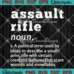 Assault Rifle Noun SVG - A Political Term Used By Idiots SVG - To Describe A Small Arms Rifle SVG PNG, Cricut File